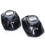 بلندگو بیضی کاروزریا مدل CRX-6946